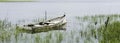 Sunken Skiff In Marsh Royalty Free Stock Photo