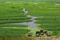 Sunken work boats Royalty Free Stock Photo