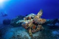 A sunken world war two fighter propeller airplane at the seabed of the Aegean Sea