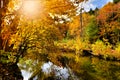 Sunlight through autumn leaves along a calm river with reflections Royalty Free Stock Photo