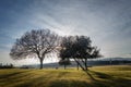 Sunlight through autumn trees in the golf camp court in El Brull, Catalonia