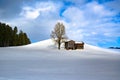 Sunlight on barn and bare tree on hill in snowy winter landscape and fir forest in South Germany. Royalty Free Stock Photo