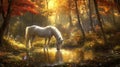 Sunlight bathed forest, horse drinks Royalty Free Stock Photo