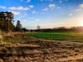 Sunlight on the beautiful green field in Sweden Royalty Free Stock Photo