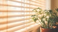 sunlight blurred interior window blinds