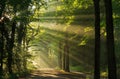 Sunlight breaking through Royalty Free Stock Photo