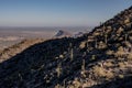 Sunlight Breaks Over The Ridge Revealing Tall Saguaro Cactus