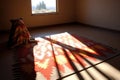 sunlight casting shadows over a finished navajo rug Royalty Free Stock Photo