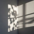 Sunlight casts abstract shadows of leaves on a smooth, light-colored wall Royalty Free Stock Photo