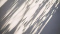 Sunlight casts blurry, diagonal shadows, creating a pattern on a light wall