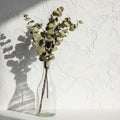 Sunlight casts a distinct shadow of the branches and bottle on Royalty Free Stock Photo
