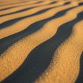 Sunlight casts over undulating sand dunes, creating a pattern of light Royalty Free Stock Photo
