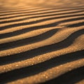 Sunlight casts shadows on rippled sand dunes creating a striking Royalty Free Stock Photo