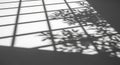 Sunlight casts shadows of a window grid and plants onto a smooth surface. The Royalty Free Stock Photo