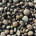 Sunlight casts soft shadows enhancing the stones three dimensional appearance Royalty Free Stock Photo