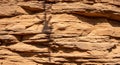 Sunlight casts a stark shadow of a lone tree against a textured sandstone cliff face Royalty Free Stock Photo