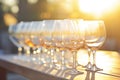 sunlight catching the hue of a full row of wine glasses at golden hour Royalty Free Stock Photo