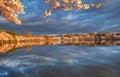 Sunlight on Cherry Trees Creates Serene Ambiance in Washington DC