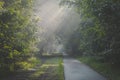 Sunlight coming through trees and foggy misty conditions on cycling and walking path. Zonlicht door de boomtoppen en mist over