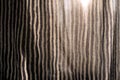 Sunlight coming through a window and fine striped fabric - minimal, simplicity