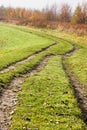 Sunlight on country path in autumn Royalty Free Stock Photo