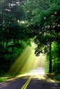 Sunlight on country road Royalty Free Stock Photo