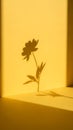 Sunlight Creates Shadow of Flower on Yellow Wall Royalty Free Stock Photo