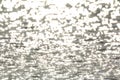 Sunlight dancing on the water is so beautiful Royalty Free Stock Photo