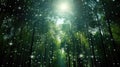 sunlight data tree