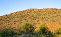 Early morning sunlight filters up a valley