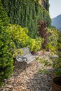 Sunlight in early morning emit a wood chair Royalty Free Stock Photo