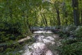 The sunlight is filtered through the trees and vegetation along this ditch with a bridge in the Clingendael park in The Hague Royalty Free Stock Photo