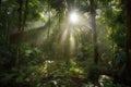 sunlight filtering through the dense canopy of the amazonas, creating a magical atmosphere