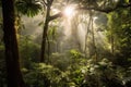 sunlight filtering through the dense canopy of the amazonas, creating a magical atmosphere