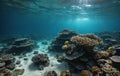 Sunlight filters through fluid over coral reef, underwater landscape Royalty Free Stock Photo