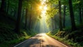 Sunlight filters through the leaves of tall trees on a winding mountain road, road, trees Royalty Free Stock Photo