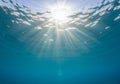Sunlight filters through ocean water, creating shimmering patterns Royalty Free Stock Photo