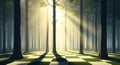 Sunlight streams through a mysterious forest with a chessboard-patterned floor, creating an ethereal and captivating atmosphere Royalty Free Stock Photo