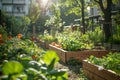 Sunlit Community Garden with Blooming Flowers AI Generated