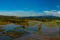 Sunlight on flooded rice fields in rural Laos Royalty Free Stock Photo