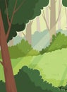 Sunlight in forest. Sunshine morning among lush trees cartoon background wood daylight enchanted nature vector Royalty Free Stock Photo