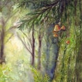 Sunlight forest wood coniferous tree spruce pine trunk with mushrooms and moss. Hand drawn watercolor illustration art