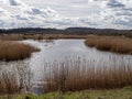 Sunlight glistening on water at St Aidans Nature Park, West Yorkshire, England Royalty Free Stock Photo