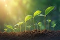 Sunlight on growing plant seedlings Germination sequence on fertile soil Royalty Free Stock Photo