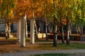 Sunlight illuminates a dark shady courtyard, park on an early autumn morning