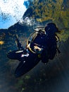 Sunlight illuminates a diver beneath the duckweed at Catfish Hotel in Manatee Springs State Park, Florida