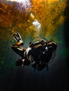 Sunlight illuminates a diver beneath the duckweed at Catfish Hotel in Manatee Springs State Park, Florida