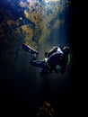 Sunlight illuminates a diver beneath the duckweed at Catfish Hotel in Manatee Springs State Park, Florida