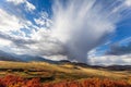 Sunlight illuminates fall colors along Last Dollar Road near Telluride, Colorado Royalty Free Stock Photo