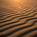 Sunlight illuminates rippled patterns in fine sand creating a Royalty Free Stock Photo